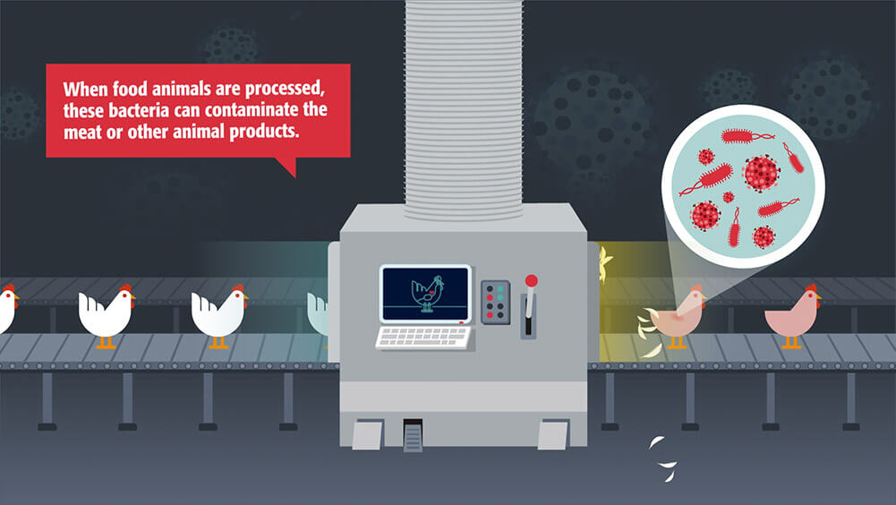 Captiva Studios St. Louis Photography and Video Production